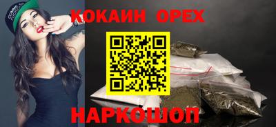 крисы Кулебаки