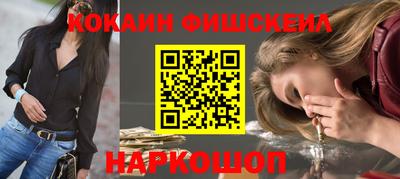 крисы Кулебаки