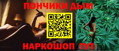 крисы Кулебаки
