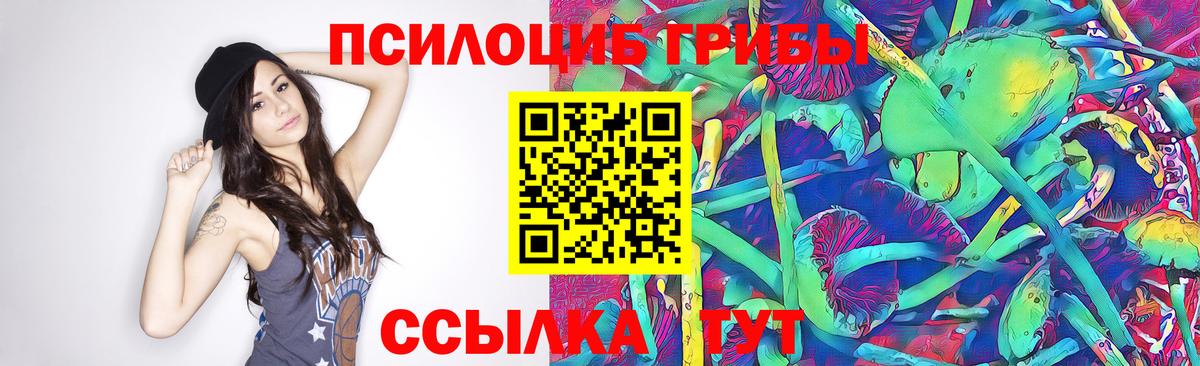 Гатчина  Псилоцибиновые грибы MAGIC MUSHROOMS  Вход с VPN 